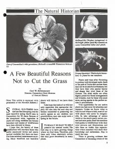 "A Few Beautiful Reasons Not to Cut the Grass" featured in the September 1989 issue of Citizens' Bulletin.
